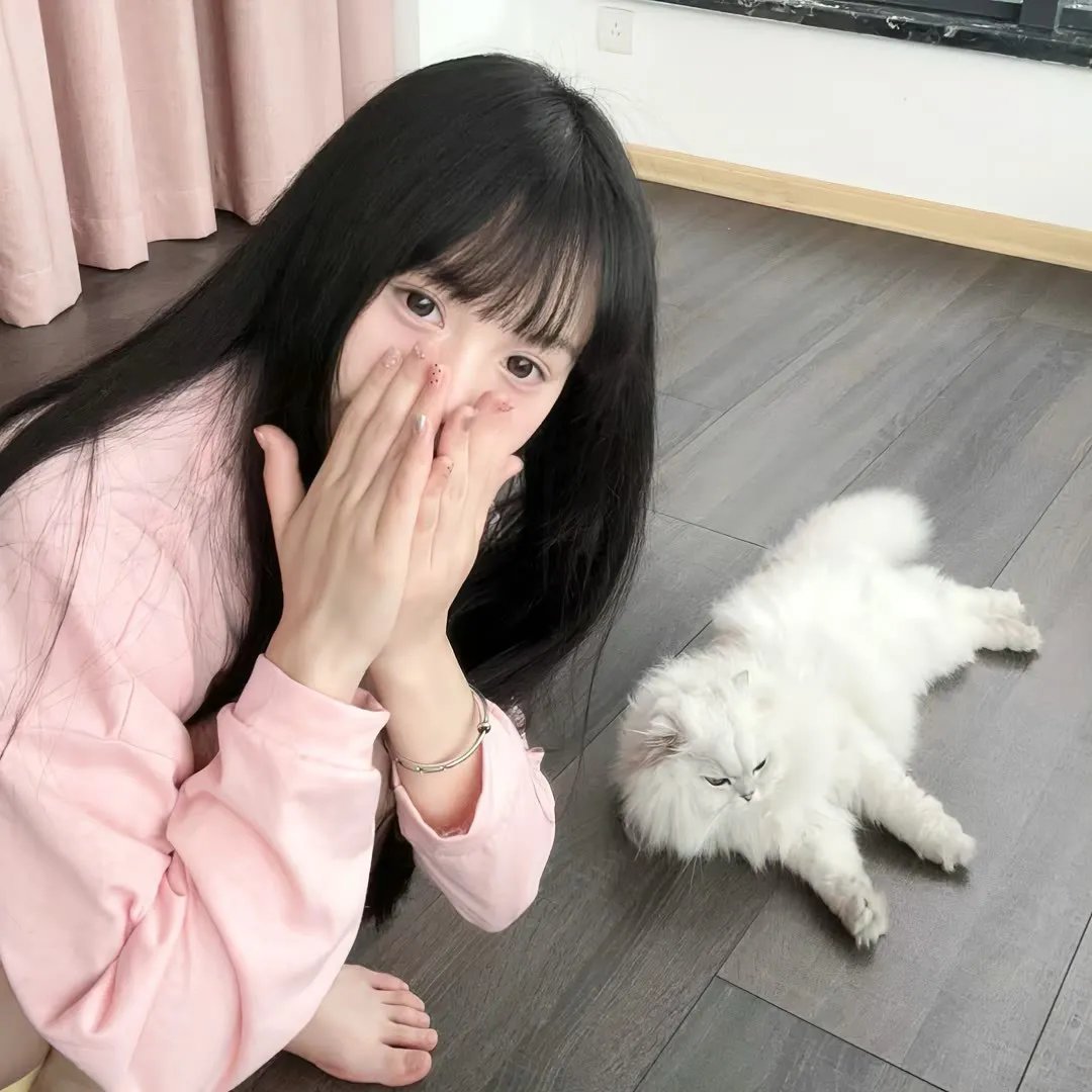 狼群出动