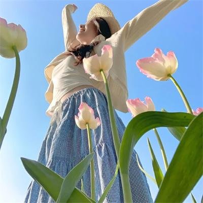 艾莲娜与阿瓦拉王国之谜